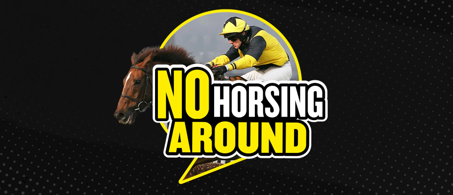 No Horsing Around