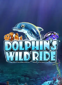 Dolphin's Wild Ride