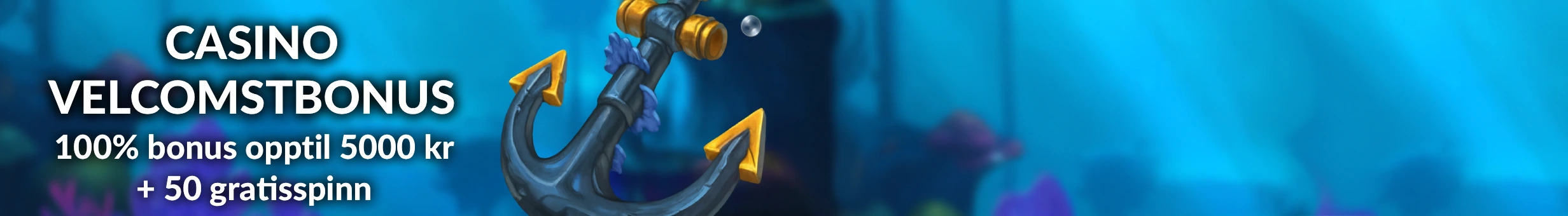 Puntit Casino WO promotion