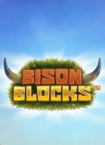 Bison Blocks