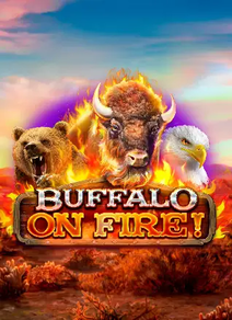 Buffalo on Fire!