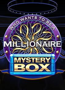 Millionaire Mystery Box