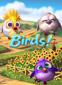Birds 