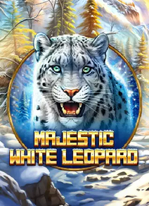 Majestic White Leopard