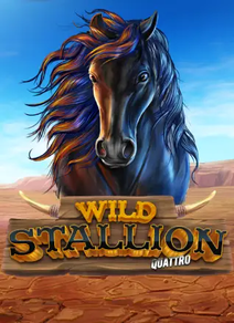 Wild Stallion