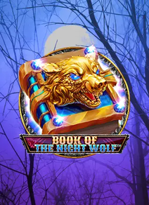 Book Of The Night Wolf