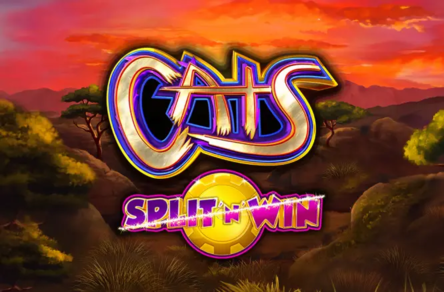 Betamo Casino Interface en App Scherm