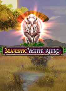 Majestic White Rhino