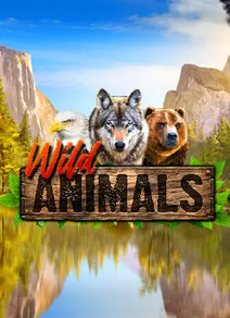 Wild Animals 