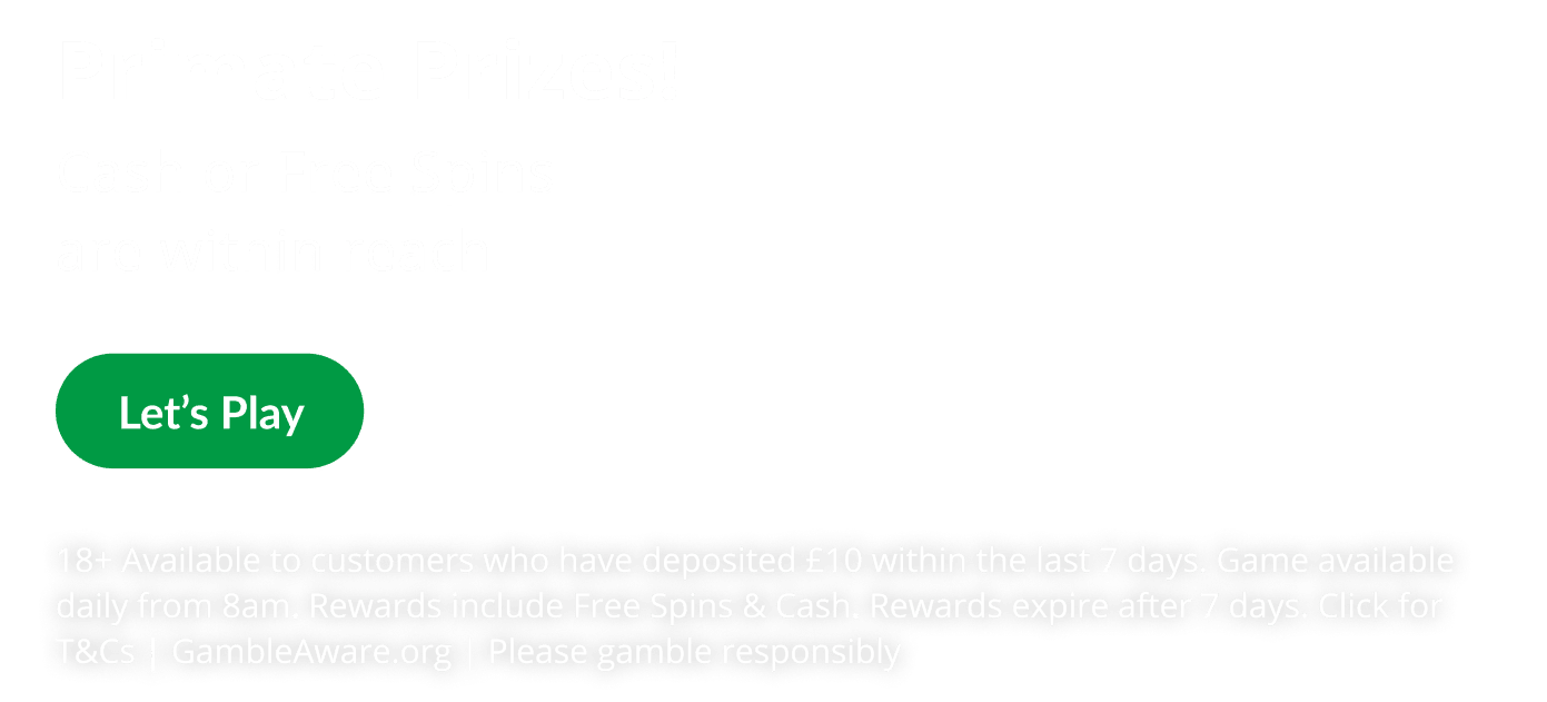 Heart Bingo BGF2 - Gorilla Thrilla! promotion