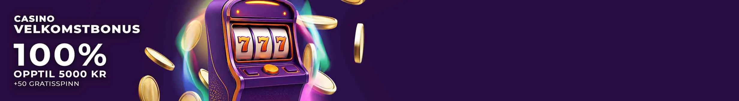 Puntit Casino WO promotion