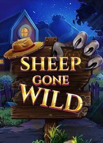 Sheep Gone Wild